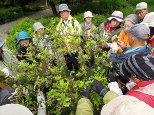 エゾムラを囲んで