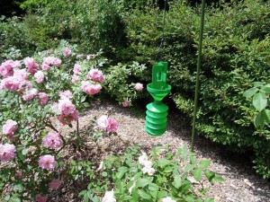 カメムシトラップ