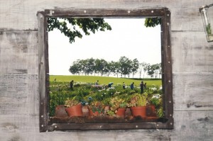 サ優39「窓からみると名画のよう」西尾克彦_R