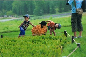 四優39「楽しい一日」吉村登美子_R