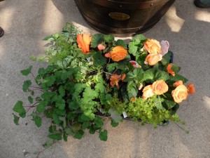 150524-102900-DSCF9648_R