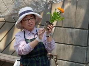 150524-110731-DSCF9669_R