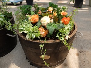 150524-120047-DSCF9693_R