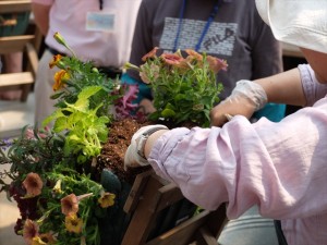 150524-134555-DSCF9715_R