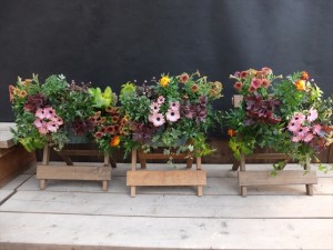 150524-145136-DSCF9734_R