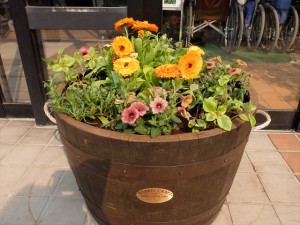 150524-151431-DSCF9737_R