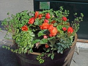 150606-143235-DSCF9898_R