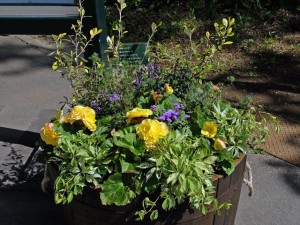 150606-143540-DSCF9901-trimmed_R