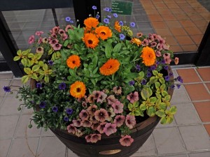 150606-155121-DSCF9927_R