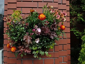 150606-155132-DSCF9928_R