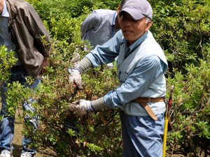 150620-103625-DSCF0107_R