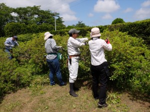 150620-112354-DSCF0146_R