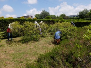 150620-112805-DSCF0150_R