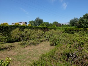 150620-152943-DSCF0213_R