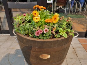 150524-151431-DSCF9737_R1