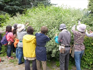 150704-114758-DSCF1095_R