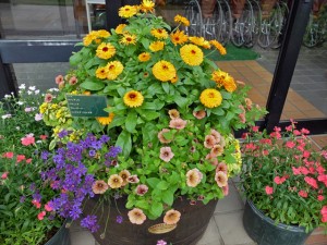 150704-125954-DSCF1120_R1