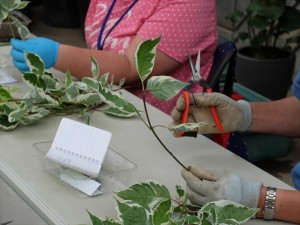 150704-131452-DSCF1139_R