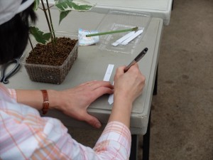 150704-132859-DSCF1148_R