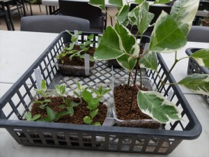 150704-145710-DSCF1211_R