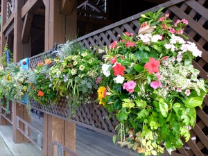 150724-142152-DSCF1450_R