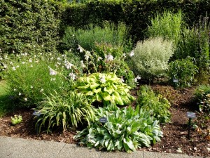 150905-085312-DSCF1699_R