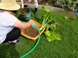 150905-104719-DSCF1730_R