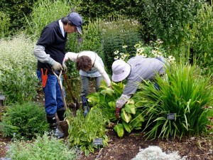 150905-104955-DSCF1743_R