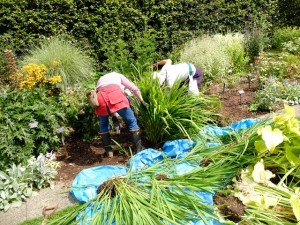 150905-111858-DSCF1761_R