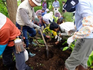 150905-114625-DSCF1788_R