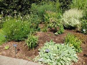 150905-122159-DSCF1813_R