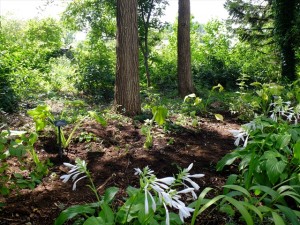 150905-124255-DSCF1816_R