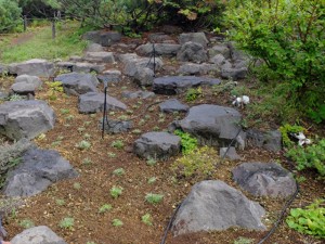 150905-135310-DSCF1861_R