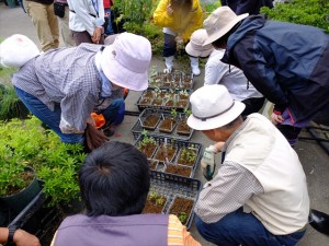 150905-142335-DSCF1877_R