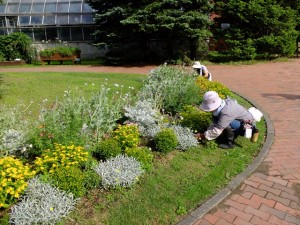 150905-144000-DSCF1884_R