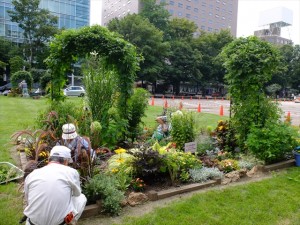 150822-113512-DSCF1636_R