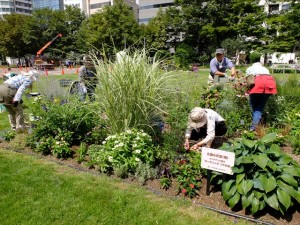 150822-115258-DSCF1643_R