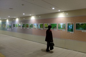 151016-100602-DSCF2055_R