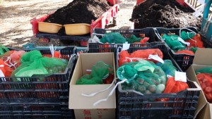 151017-102134-DSCF2088_R