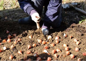 151017-102930-DSCF2107_R