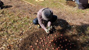 151017-104924-DSCF2120_R