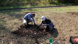 151017-112325-DSCF2126_R