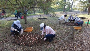 151017-144209-DSCF2146_R