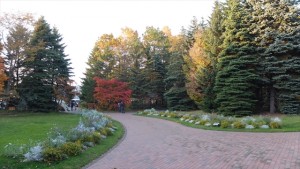 151017-155727-DSCF2163_R