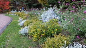 151017-155907-DSCF2164_R