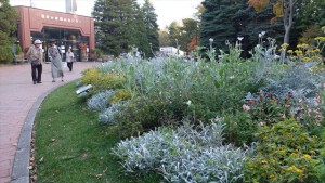 151017-160032-DSCF2168_R