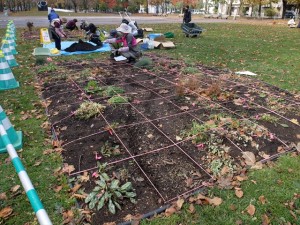 151028-102010-DSCF2330_R