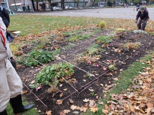 151028-102628-DSCF2335_R