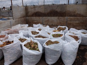 151031-133120-DSCF2409_R