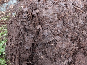 151031-134558-DSCF2418_R